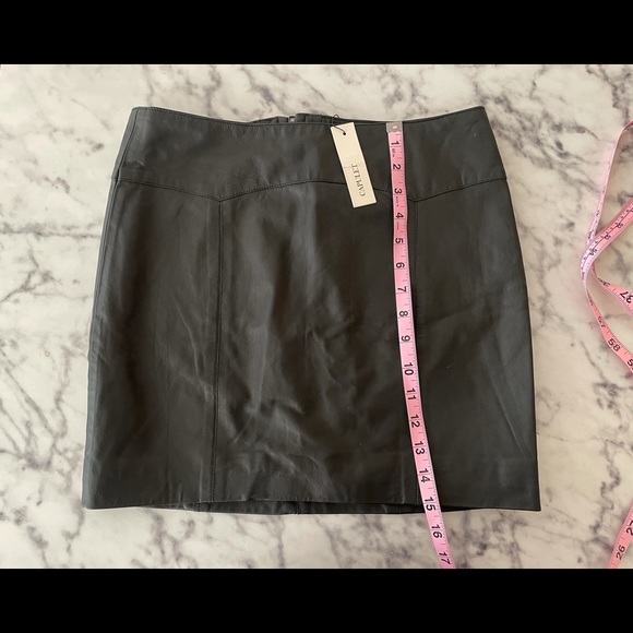NWT - Capulet 100% Leather High Waisted Mini Skirt - Picture 4 of 5